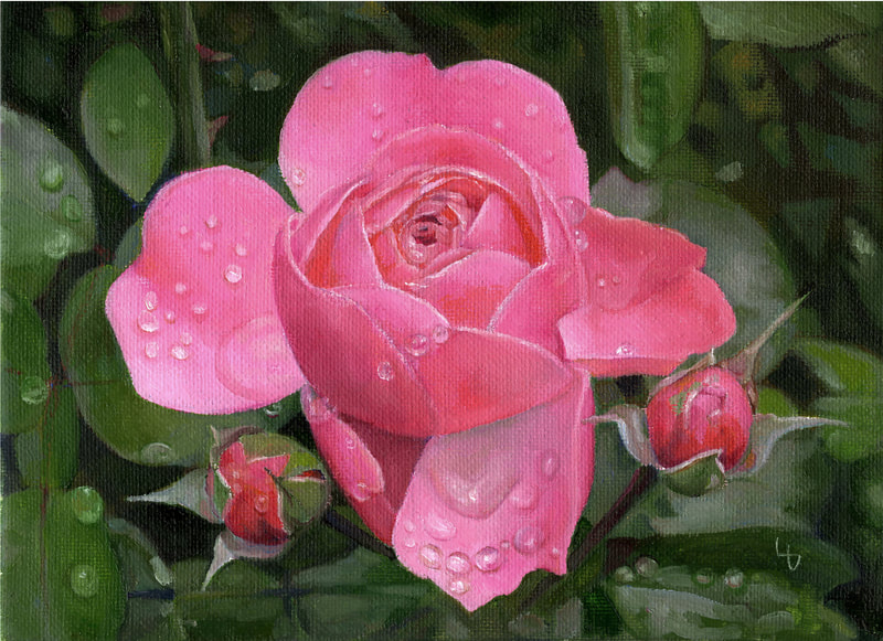 Louise Girardin; rose sous la pluie 2, huile, 22 x 16 cm 