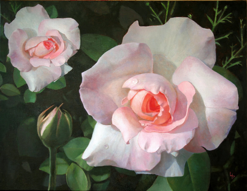 Louise Girardin, roses au jardin
