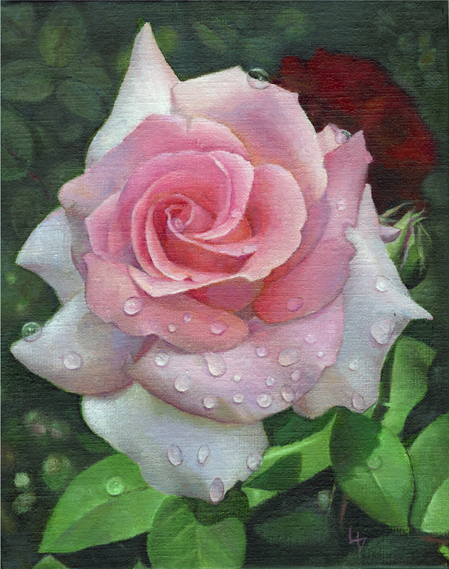Louise Girardin, rose sous la pluie